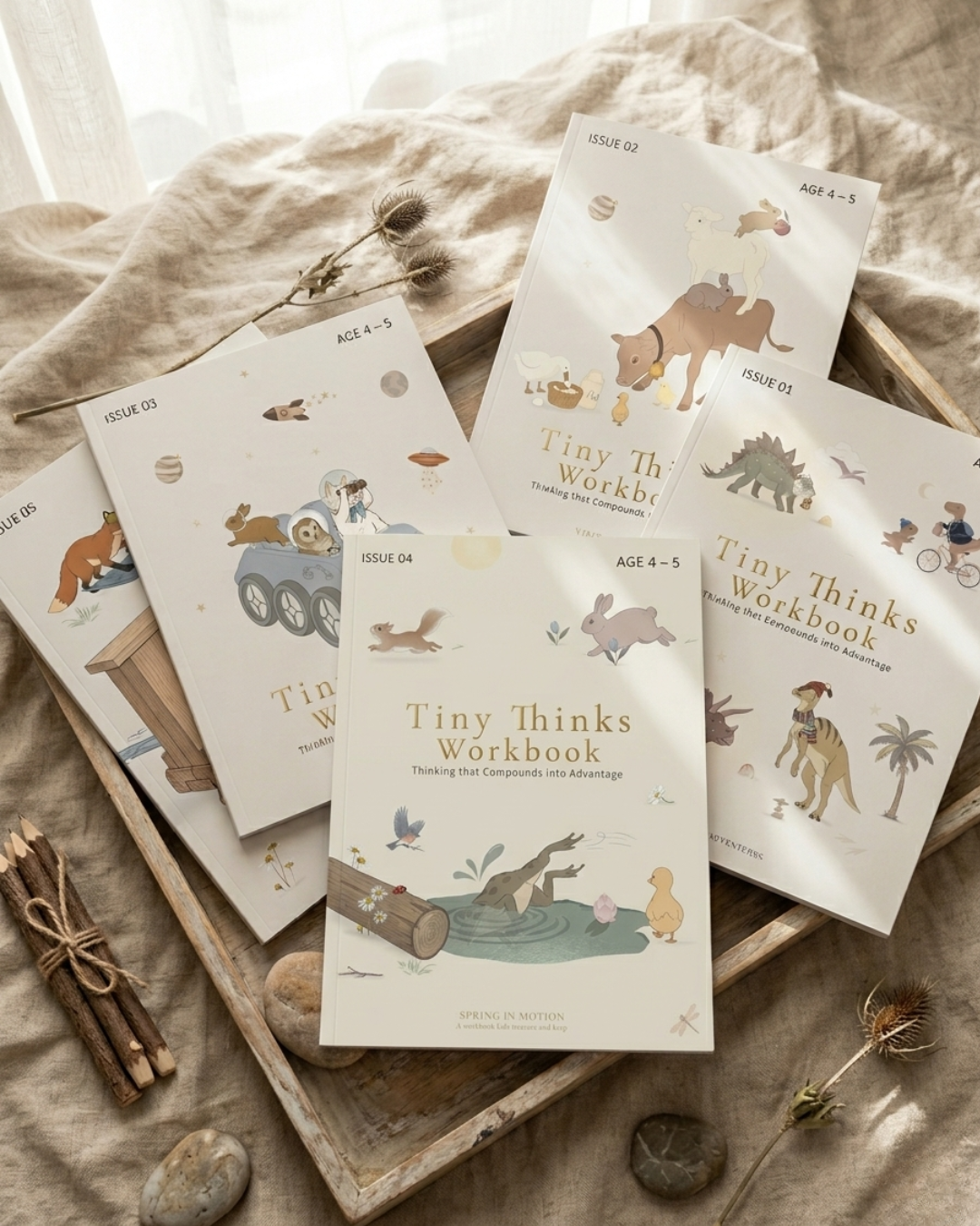 Tiny Thinks Attention Architect workbook bundle for ages 4 to 5